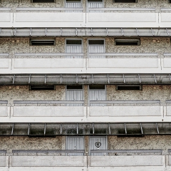 IMG_7680
