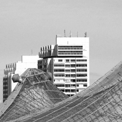 IMG_8304